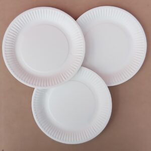 Paper Plates 7" 100pk