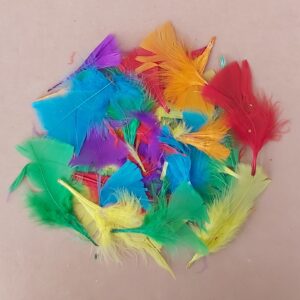 Feathers Assd Colours