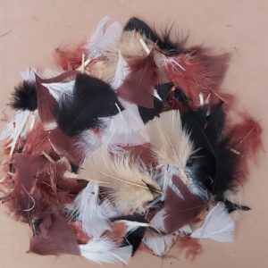 Feathers Natural Un-dyed 25g